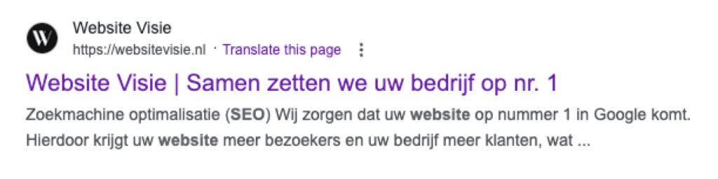 Meta description Website Visie voorbeeld